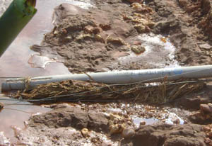 k8.com(中国区)官方网站