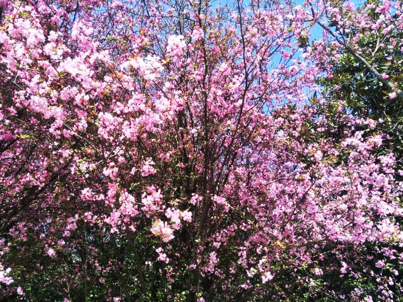 k8.com(中国区)官方网站