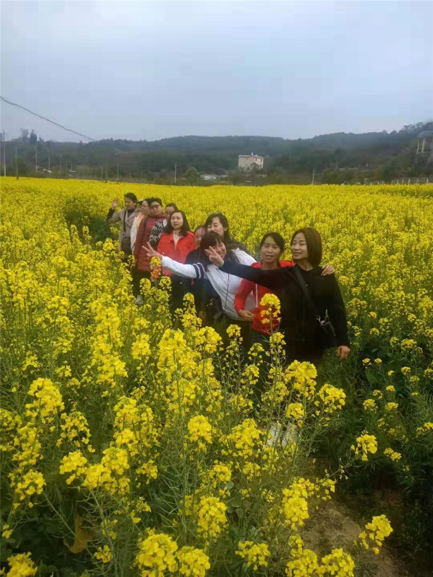 k8.com(中国区)官方网站