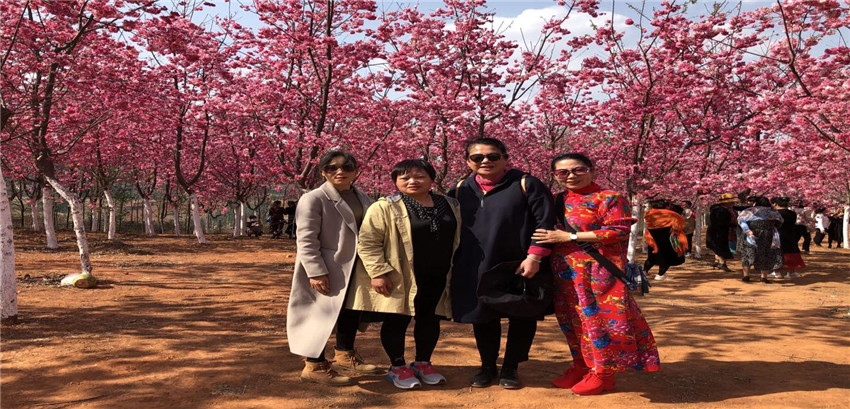 k8.com(中国区)官方网站